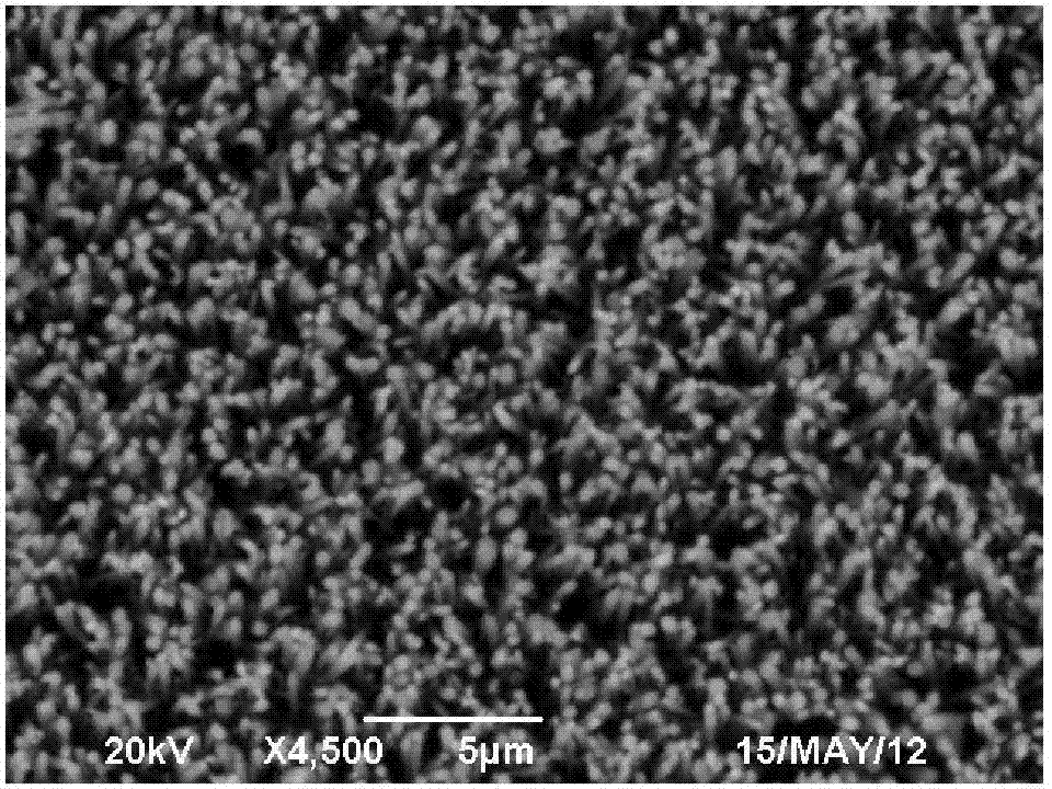 ZnO (zinc oxide) homogeneous pn junction and preparation method of ZnO homogeneous pn junction