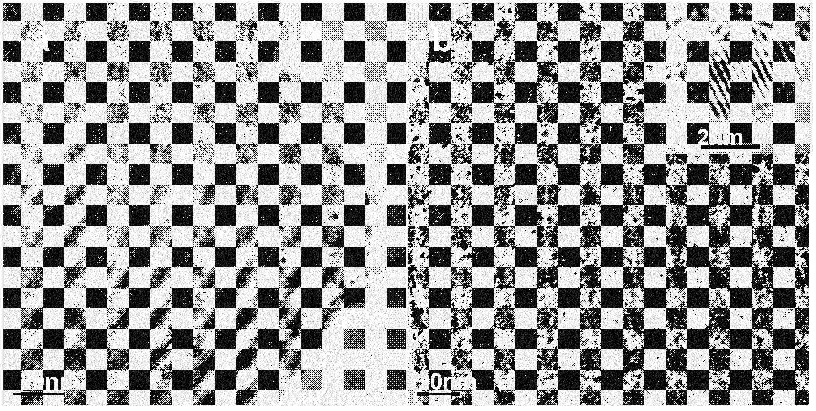 Mesoporous carbon-loaded gold nano catalyst and application thereof