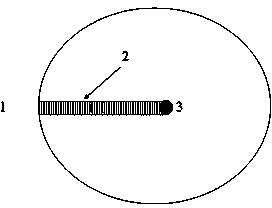 Making method of wood cross section year-by-year growth ring microscopic slices