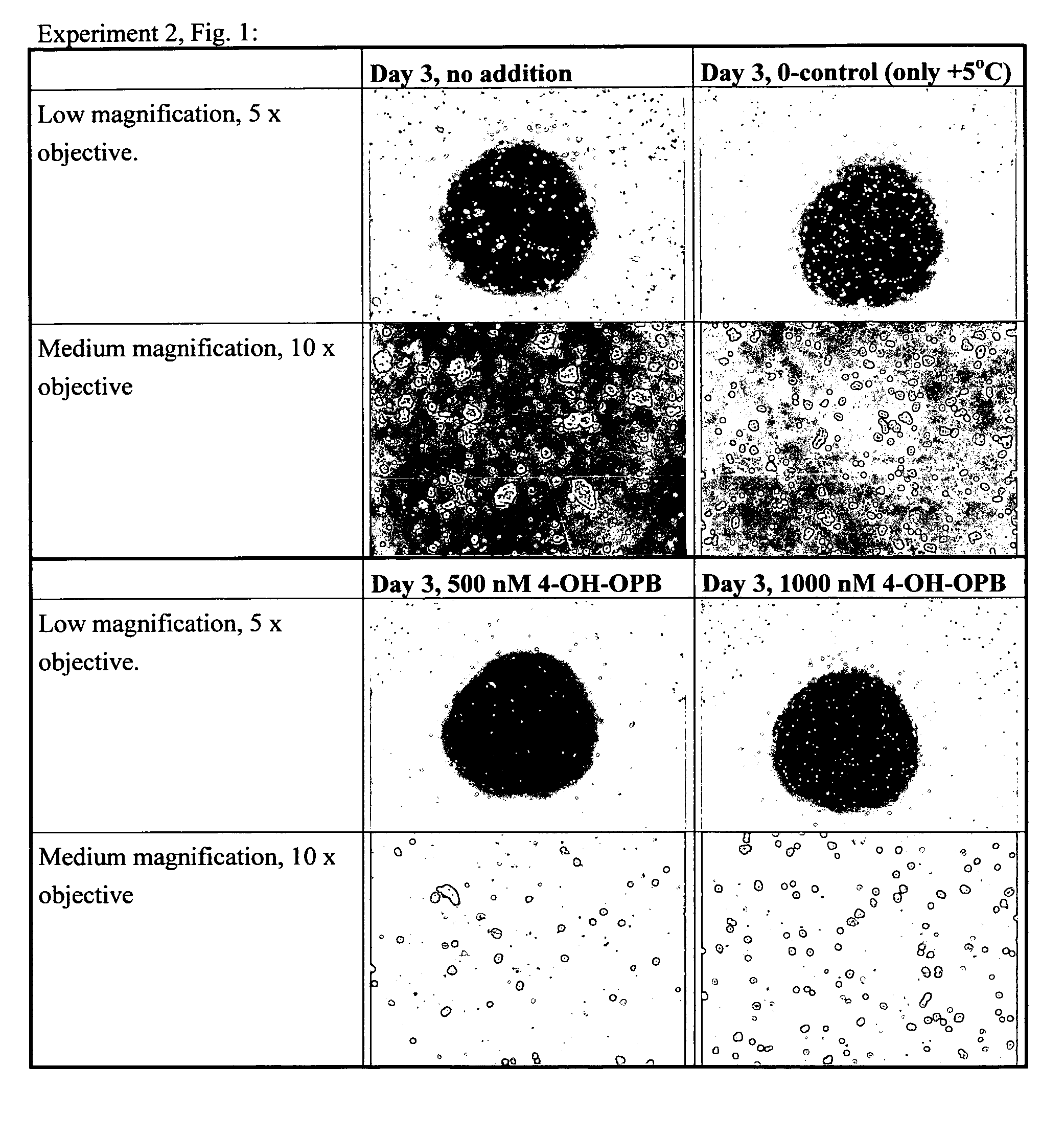 Method for selection of compounds which inhibit clonal cell growth and use thereof