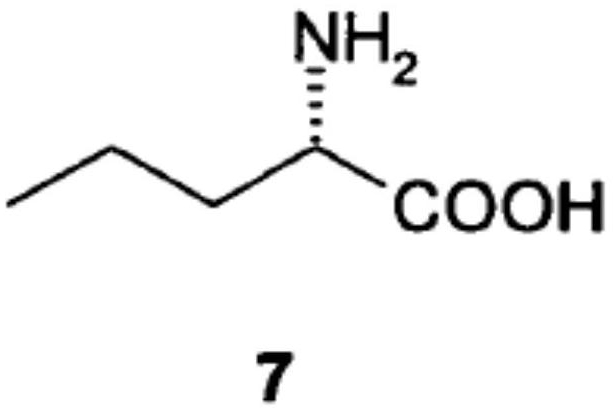 Preparation method of L-norvaline
