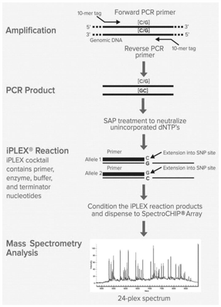 Common fifty-five respiratory tract pathogen high-throughput identification and detection method