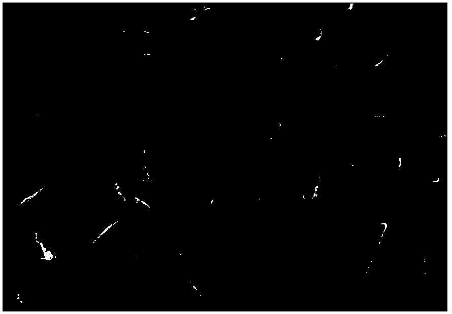 Method used for detecting alcohol concentration of baijiu based on WO3/FTO photoelectric material