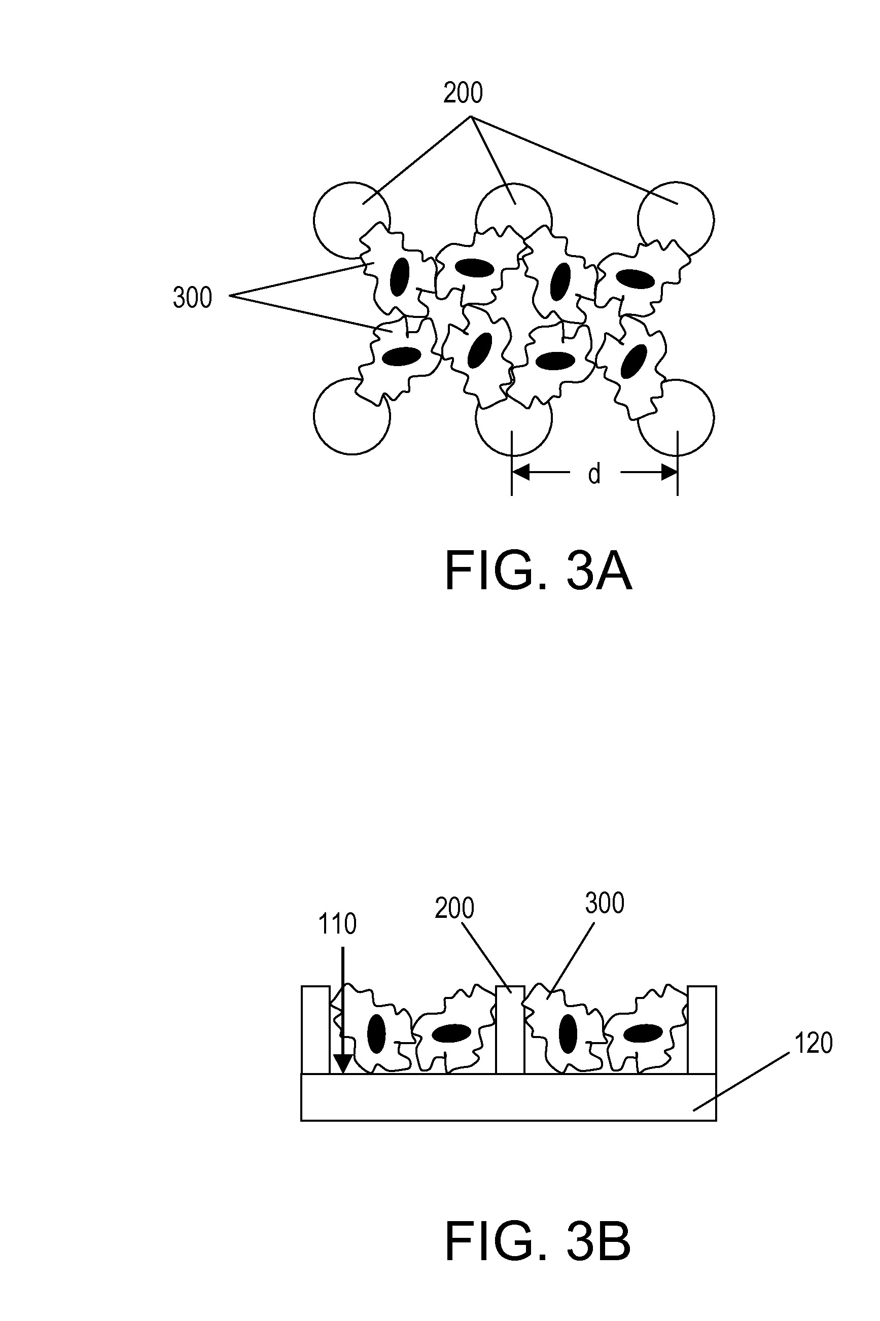 Spaced projection substrates and devices for cell culture