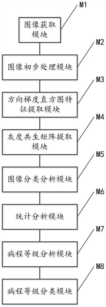 Fundus retinal blood vessel image processing system and method