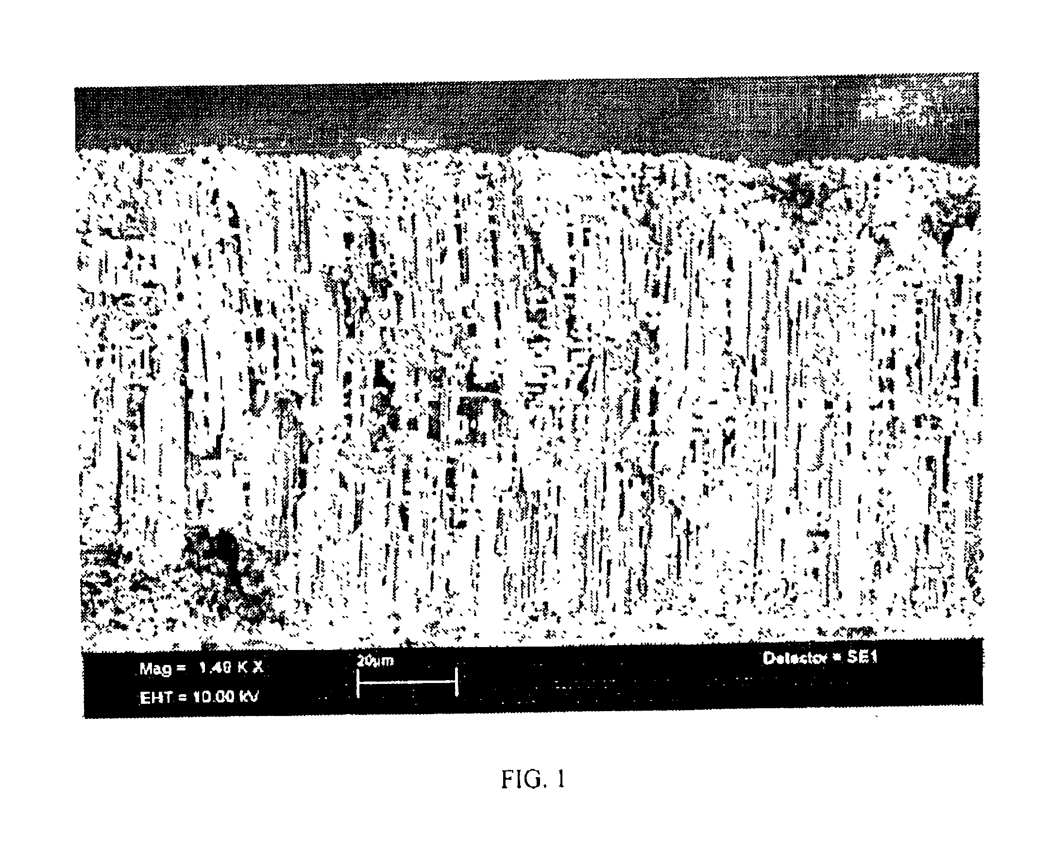 High capacitance anode and system and method for making same