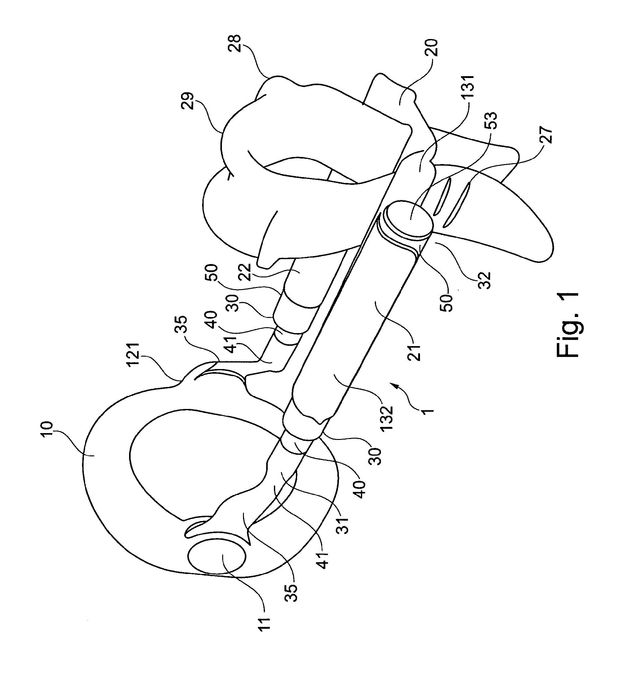 Apparatus for applying traction to a penis