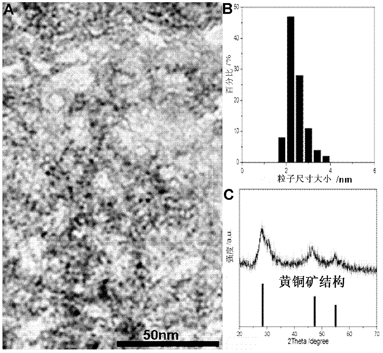 Hydro-thermal preparation method for novel near infrared water-soluble copper-indium-sulfur three-element quantum dots