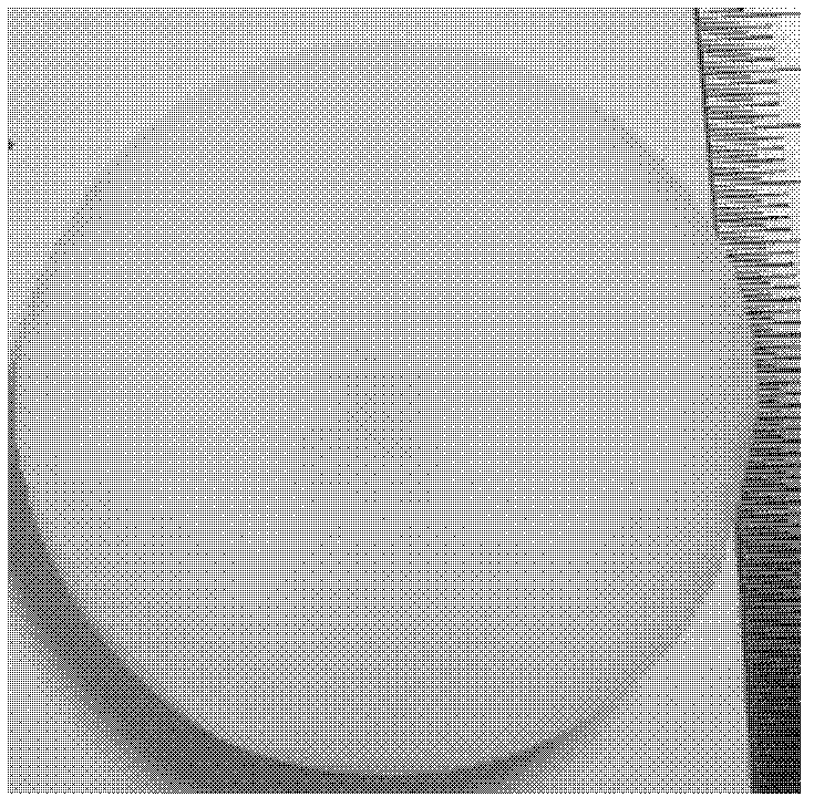 Micro-nano porous material and preparation method thereof