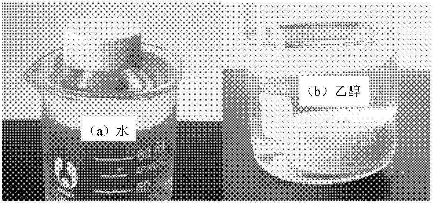 Micro-nano porous material and preparation method thereof