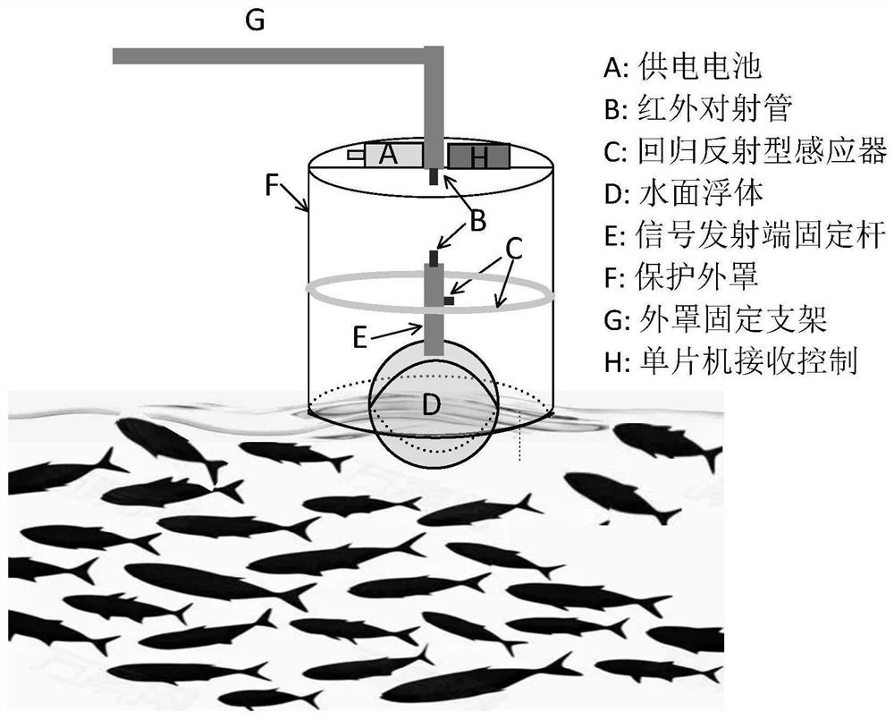 A method and system for detecting fish school hunger based on feeding behavior