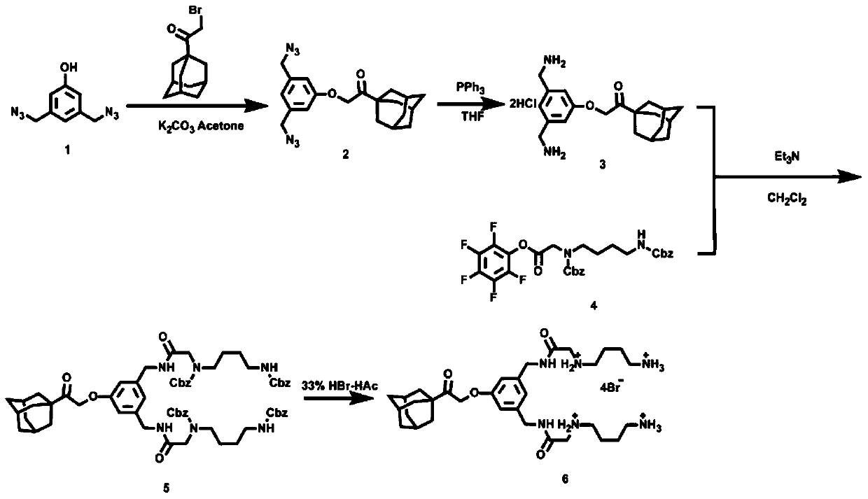 A supramolecular assembly and preparation method for targeted delivery of small interfering RNA