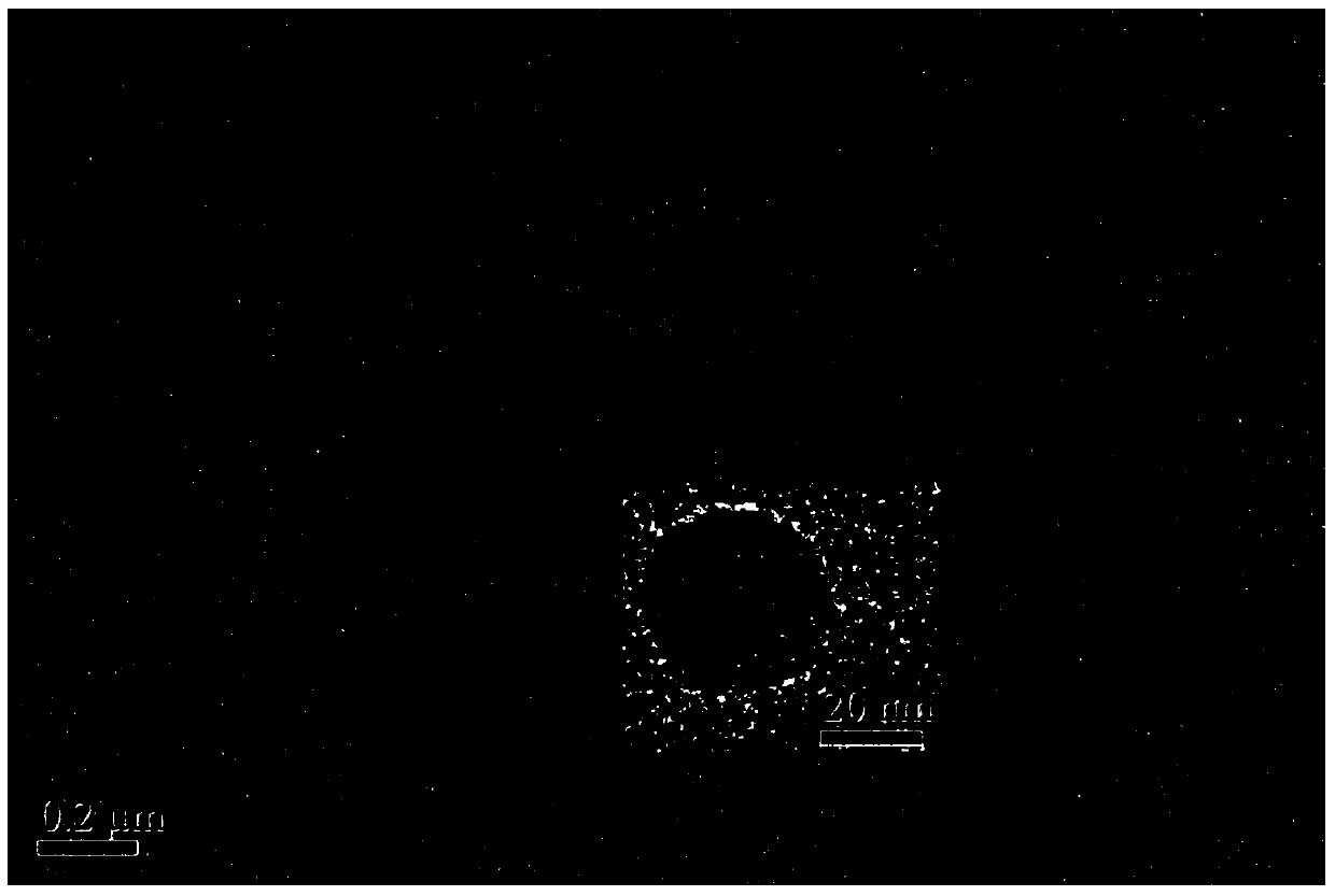 A supramolecular assembly and preparation method for targeted delivery of small interfering RNA