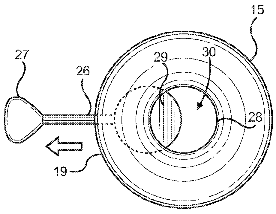 Tree Watering Device