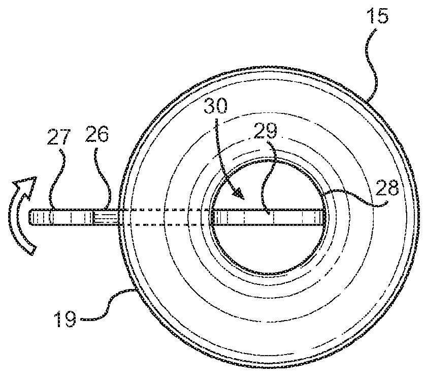 Tree Watering Device