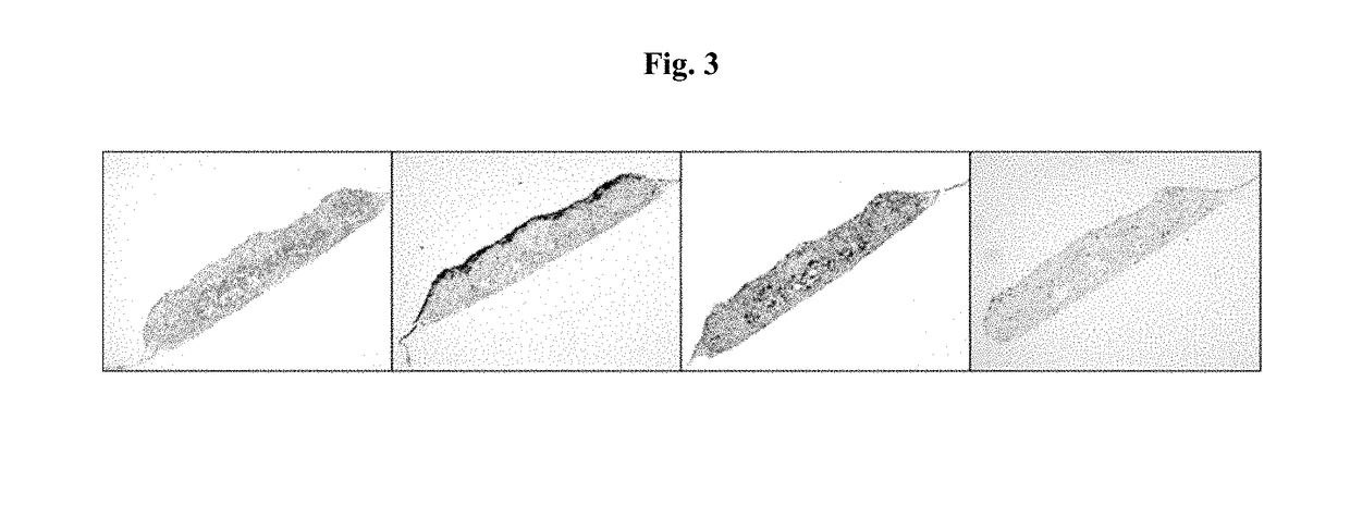 Engineered Tissues for in vitro Research Uses, Arrays Thereof, and Methods of Making the Same