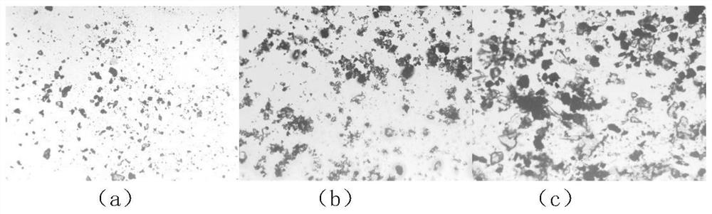 In-situ online characterization method for structural characteristics of micro-fine particle iron mineral aggregate