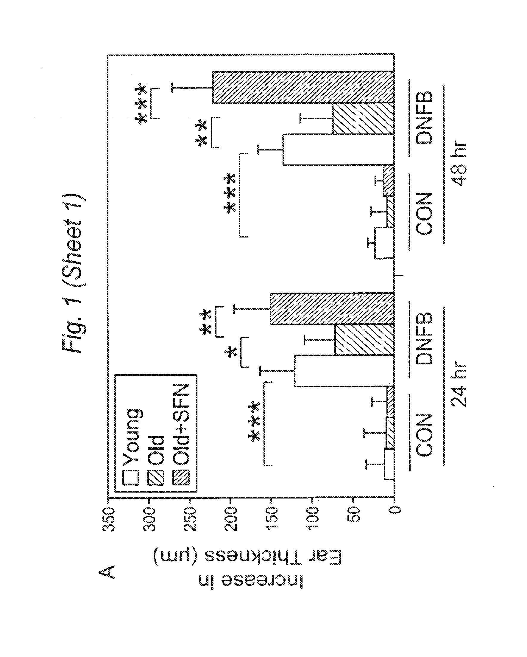 Methods and Compositions for Improving Immune Response by a Nutraceutical Antioxidant