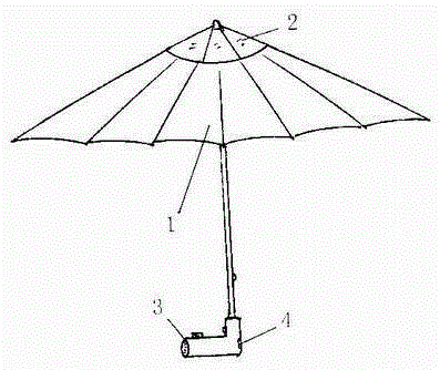 Umbrella with player