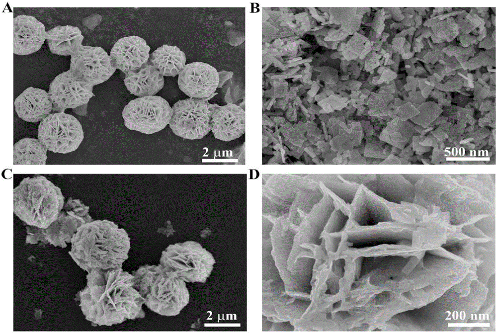 Bi2WO6/BiOI heterojunction compound photocatalyst as well as preparation method and application thereof