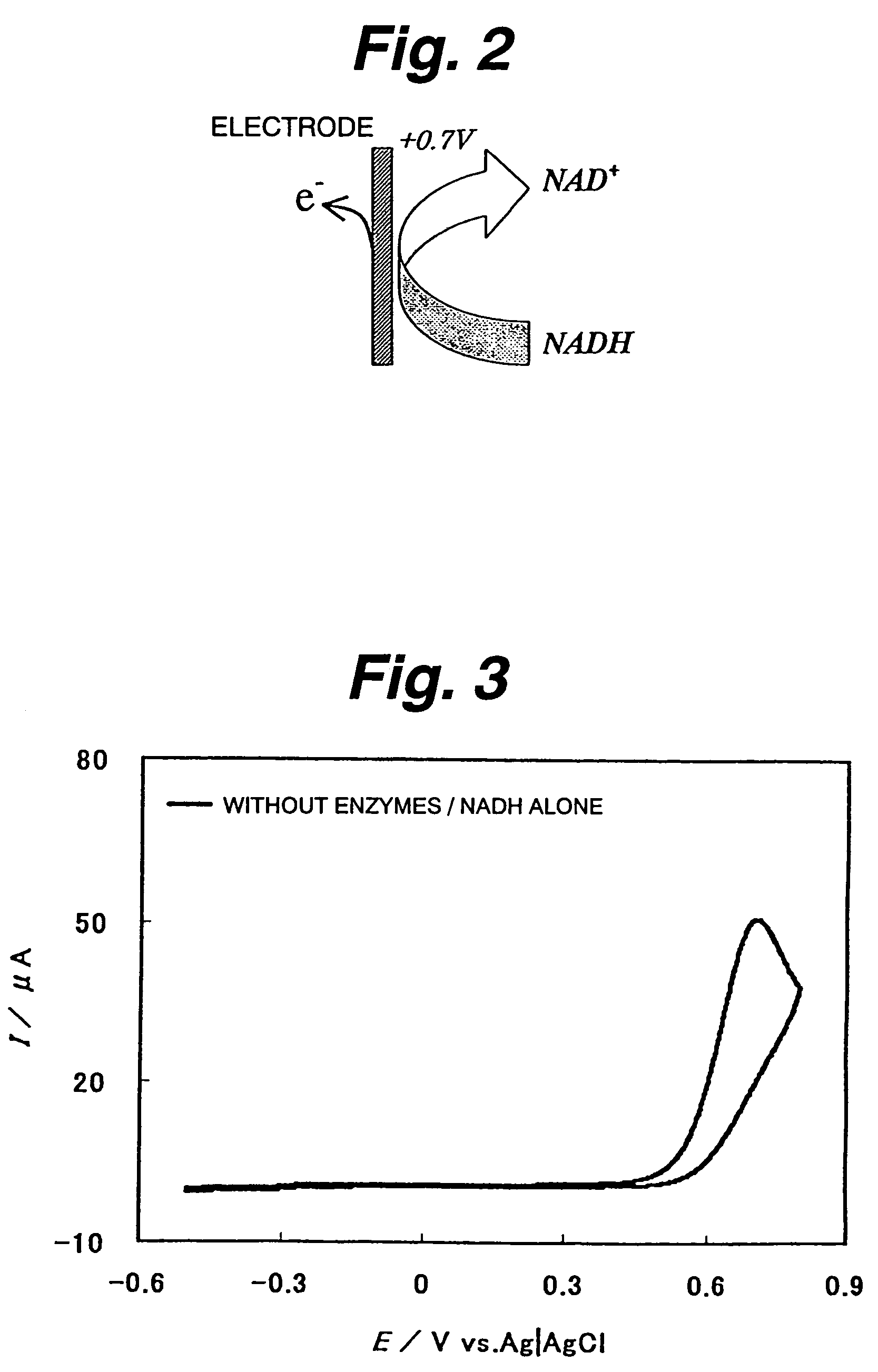 Immobilization support, process for producing the same, electrode, process for producing the same, electrode reaction utilizing apparatus and process for producing the same