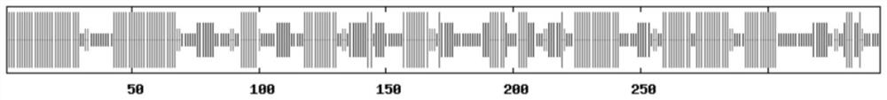 Resveratrol synthase gene RS derived from tetrastigma hemsleyanum diels et gilg and application thereof