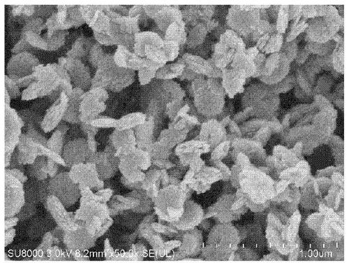 Three-dimensional nano-iron oxide, its gel in-situ preparation method and its application