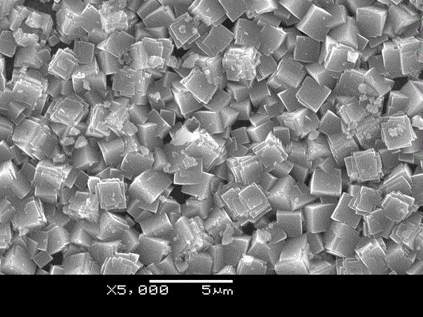 A kind of bio-magnesium alloy whose surface is coated with magnesium sodium fluoride film and its preparation method