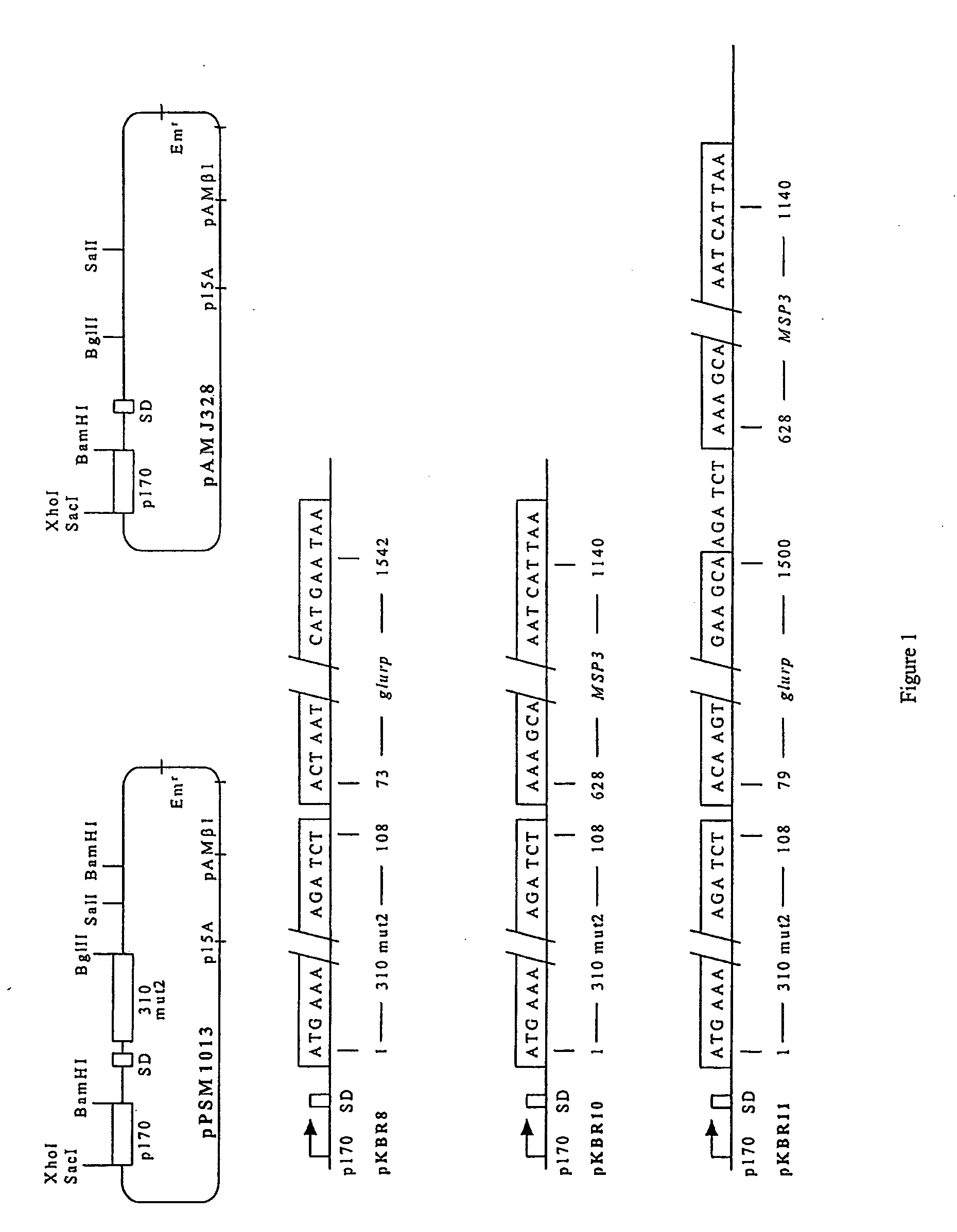 Malaria vaccine