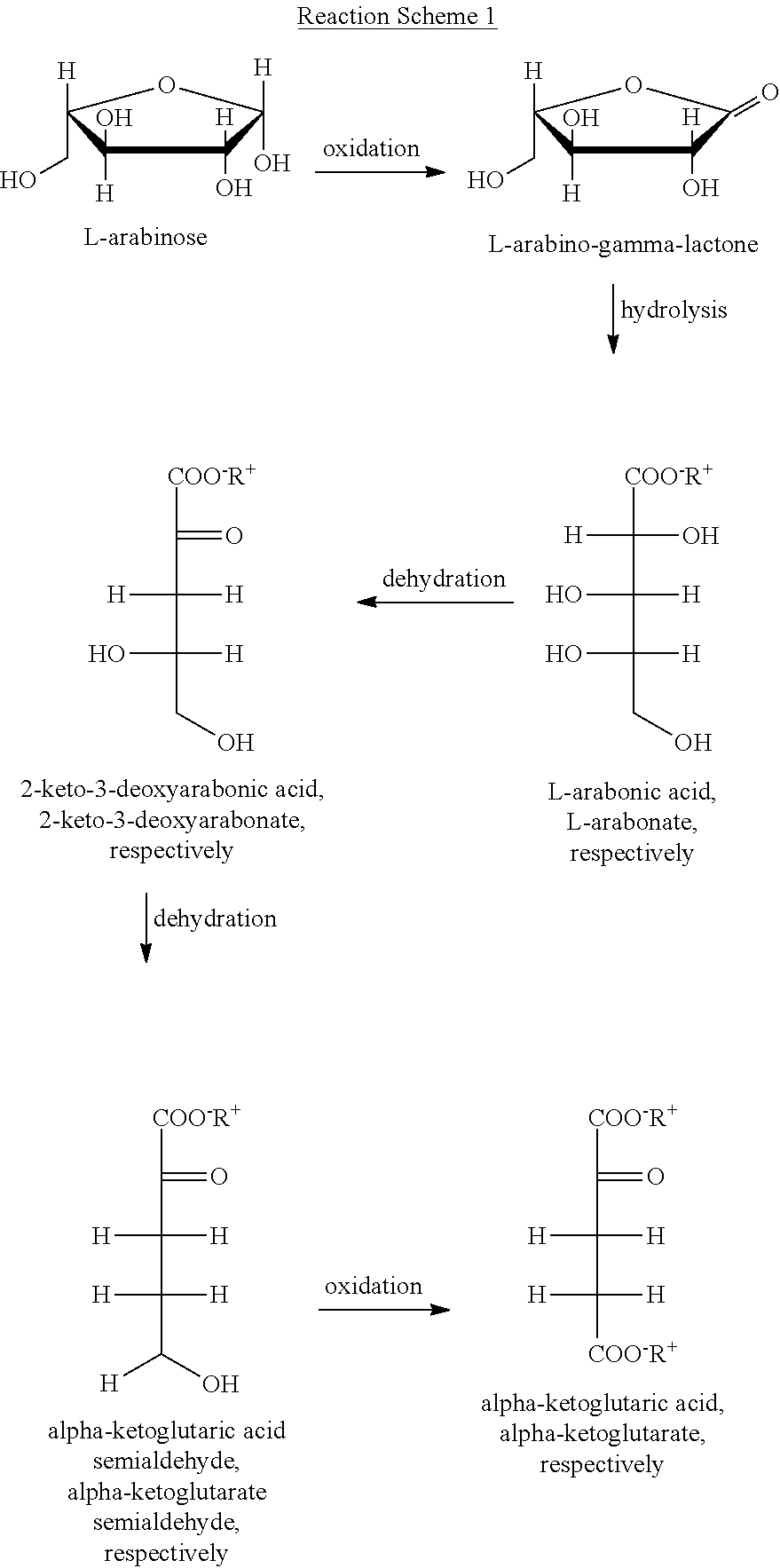 Method for obtaining sugar derivatives