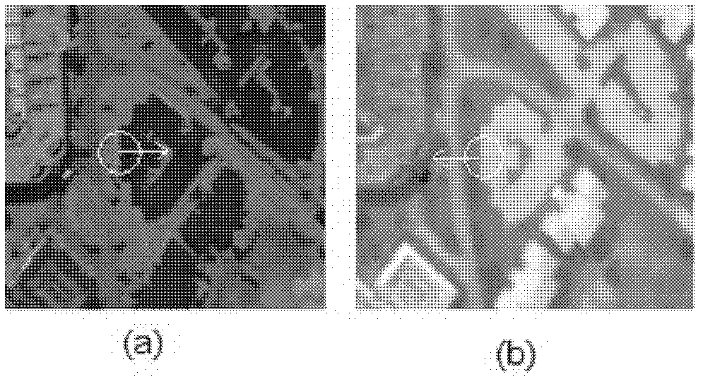 Multimodal image feature extraction and matching method based on ASIFT (affine scale invariant feature transform)