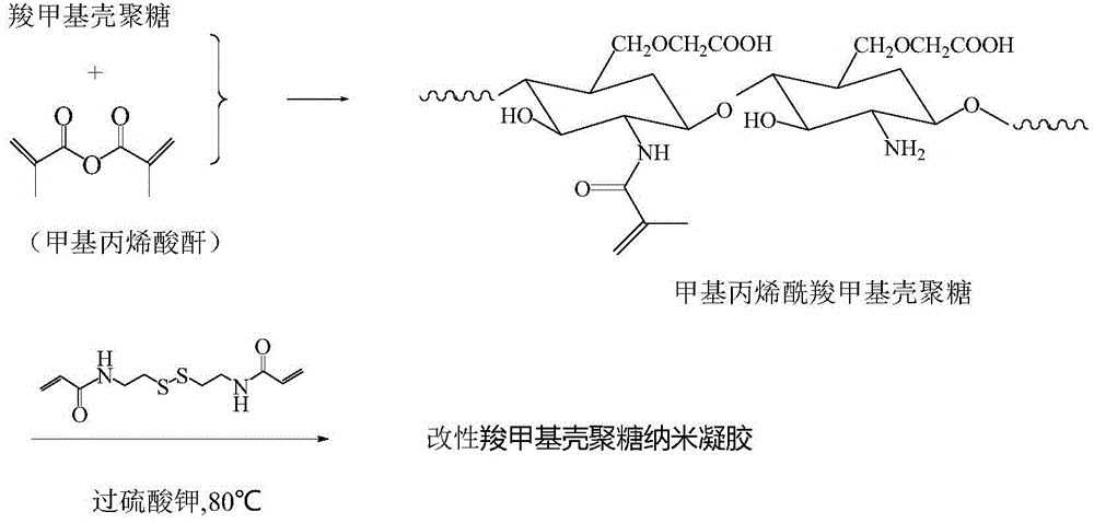 Preparation method of modified carboxymethyl chitosan nano gel