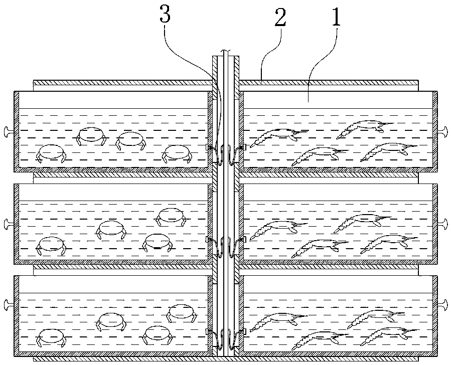 Shrimp-crab layered and latticed breeding method