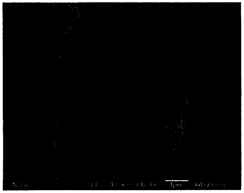 A kind of preparation method of lithium nickel cobalt aluminate and precursor thereof