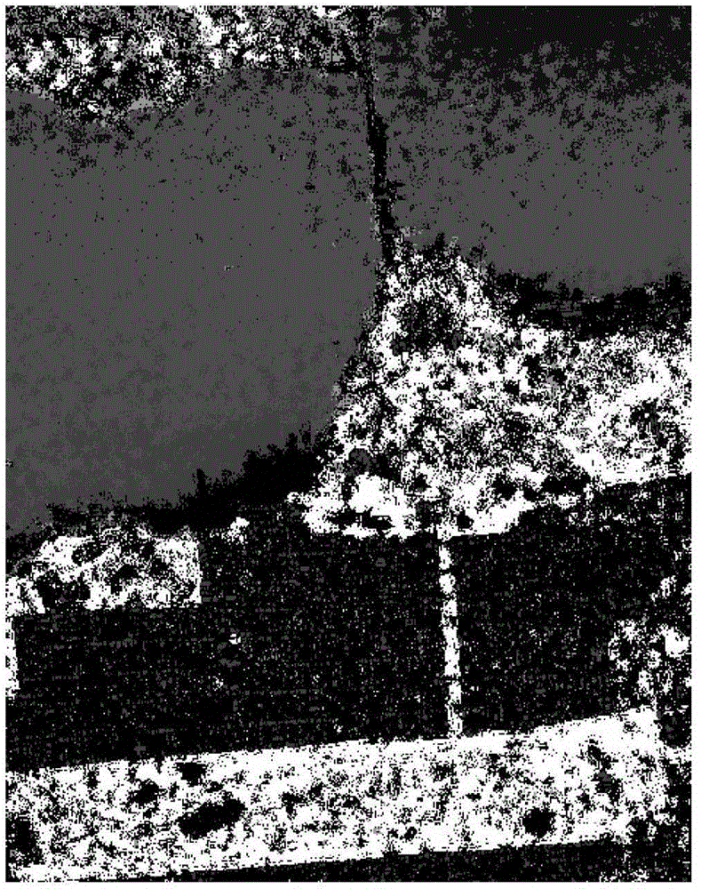 Polarized SAR Image Classification Method Based on Improved Neighbor Propagation Clustering