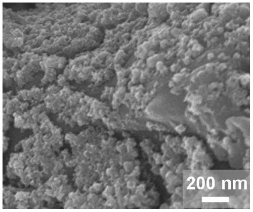 Method and application of in-situ electrochemical growth of nano-carbide-based electrocatalytic film on the surface of self-supporting carbon substrate