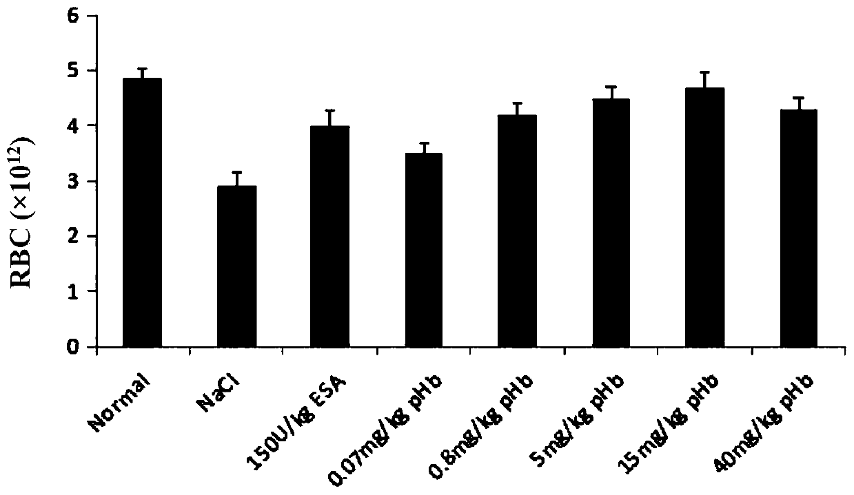 Application of hemoglobin and hemoglobin derivatives in preparation of injection pharmaceutical preparations for resisting anemia