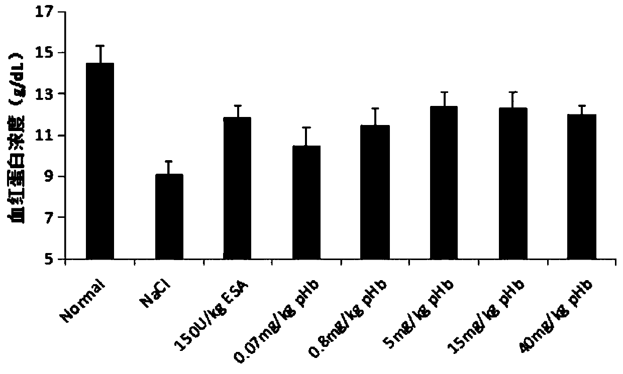 Application of hemoglobin and hemoglobin derivatives in preparation of injection pharmaceutical preparations for resisting anemia