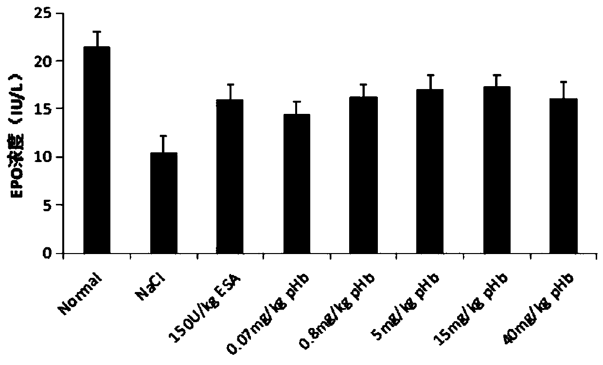 Application of hemoglobin and hemoglobin derivatives in preparation of injection pharmaceutical preparations for resisting anemia