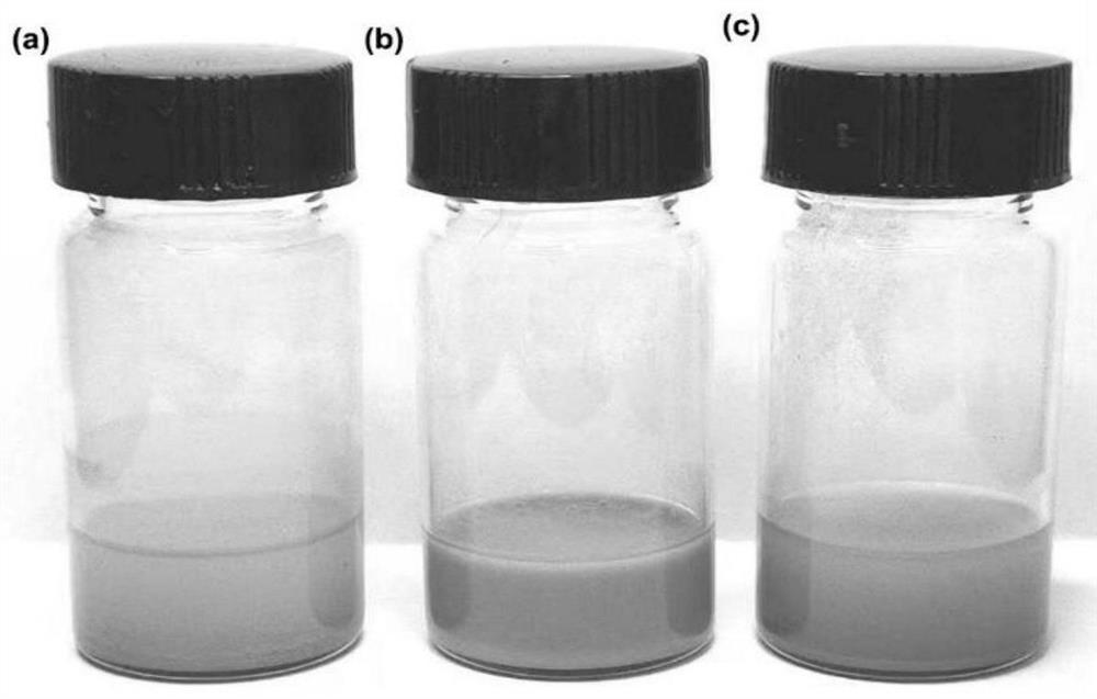 A manganese titanate nanodisc@citric acid composite material and its preparation and application in the preparation of antitumor drugs