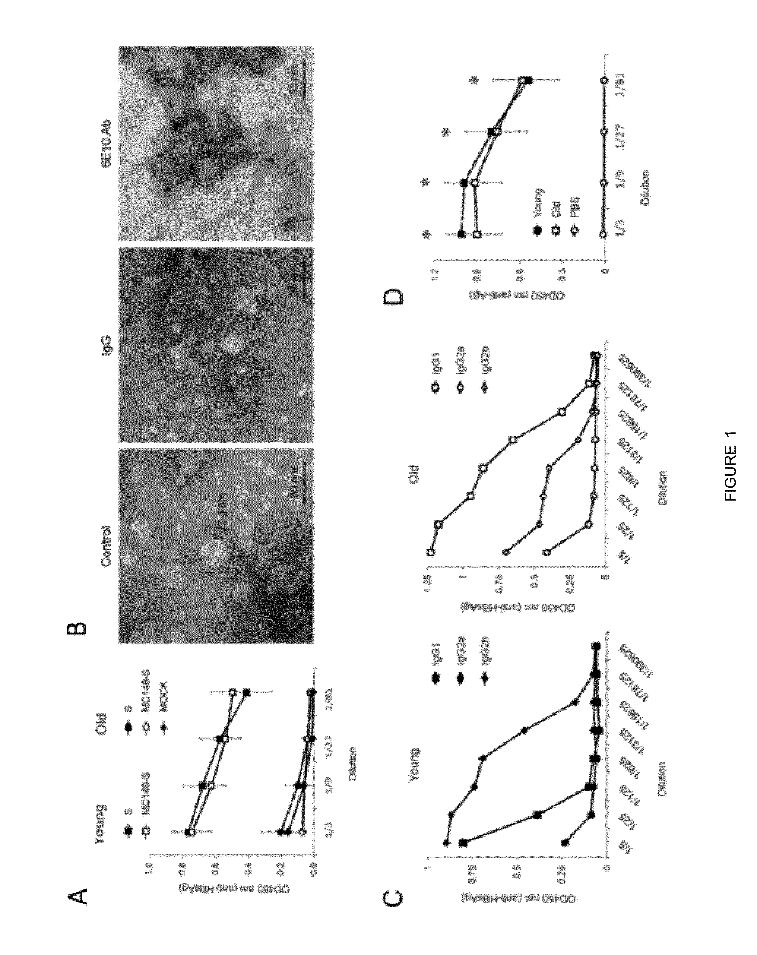 Vaccines for protection from and treatment of alzheimer's disease