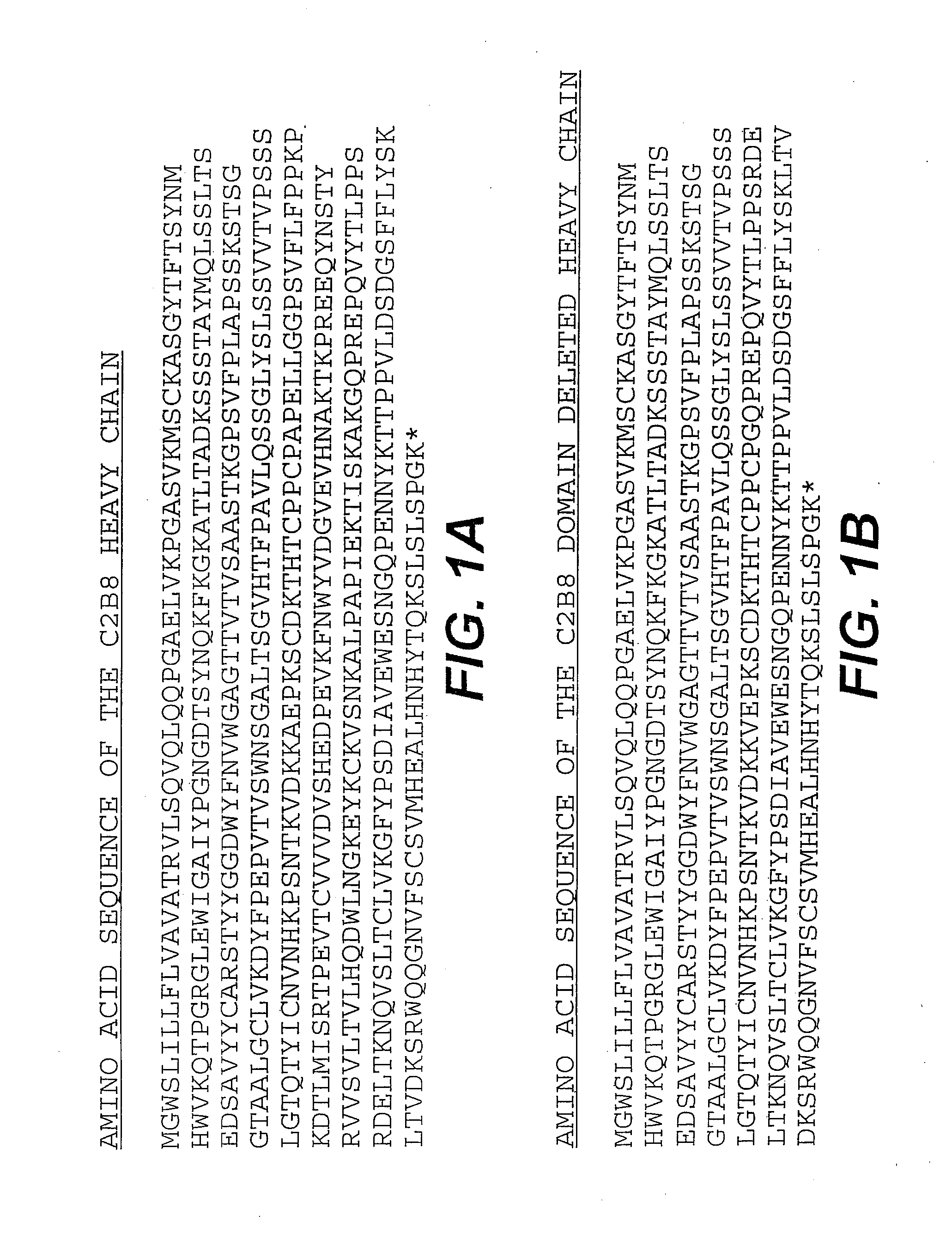 Modified antibodies and methods of use