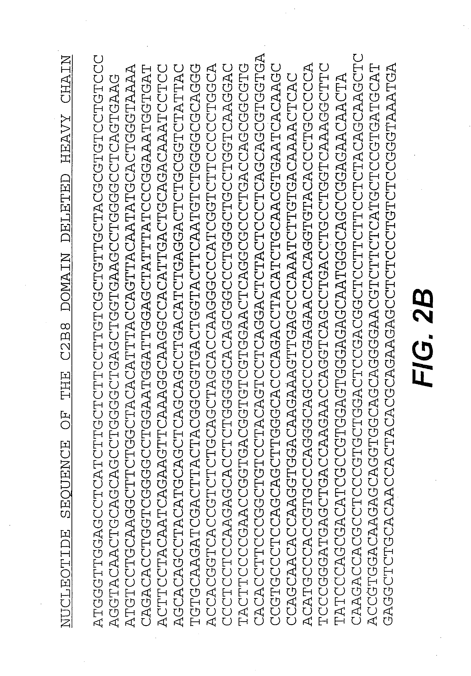 Modified antibodies and methods of use