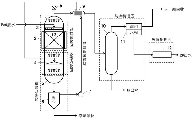 A kind of treatment method and device of high-salt wastewater produced by Pao