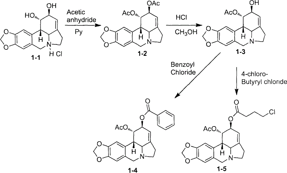 Application of lycorine compounds in the preparation of antitumor drugs