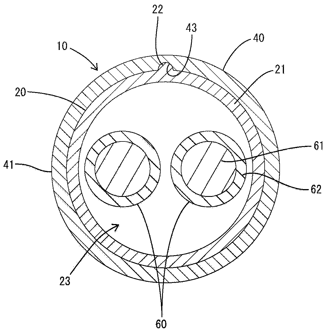 shield conductive path