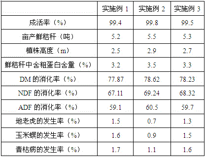 Succinic acid-containing bio-organic fertilizer and preparation method thereof