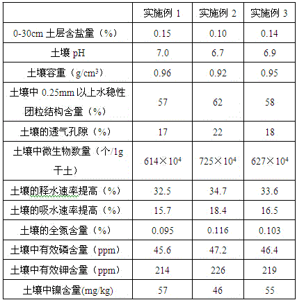 Succinic acid-containing bio-organic fertilizer and preparation method thereof