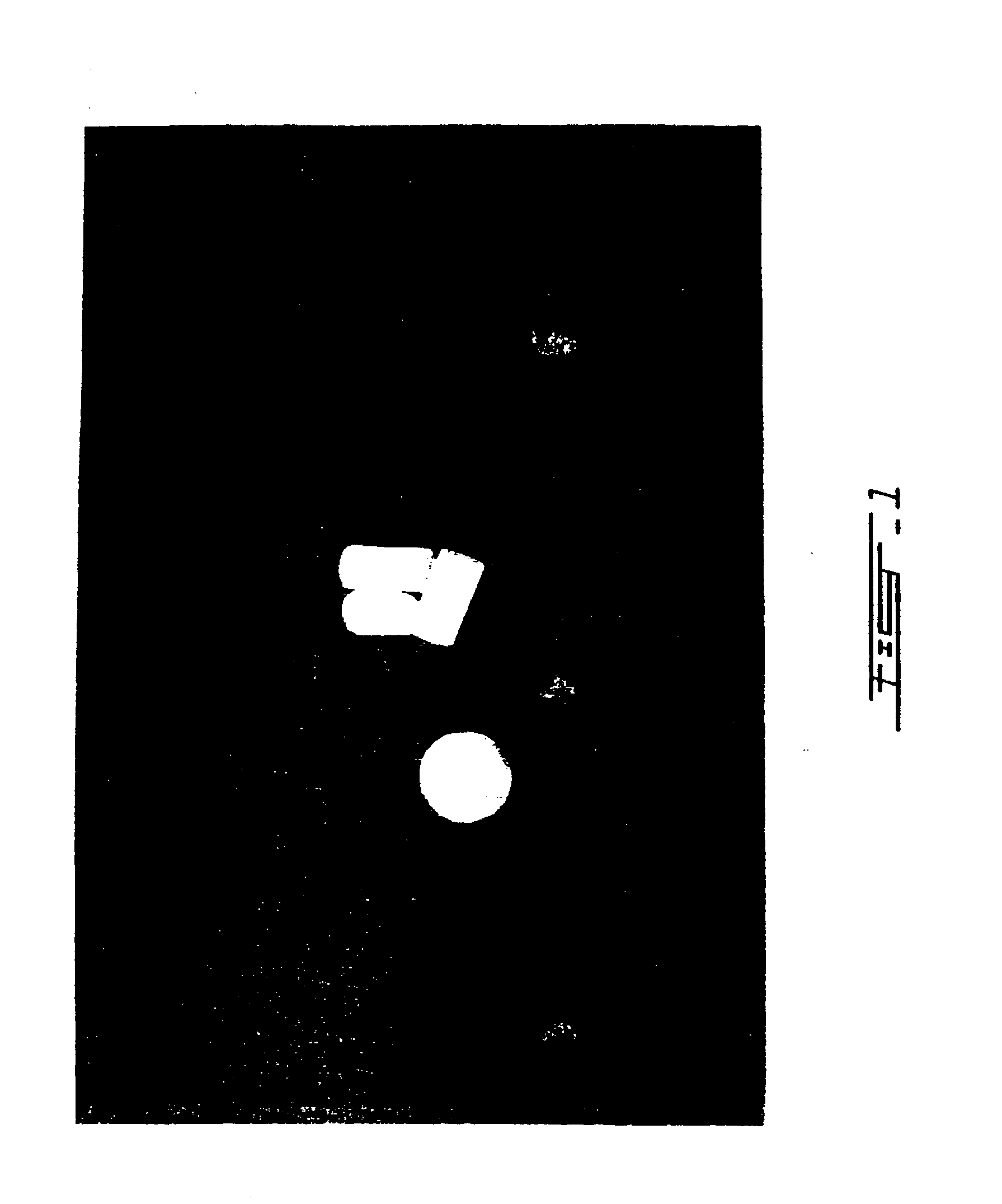 Situ self-setting mineral-polymer hybrid materials, composition and use thereof