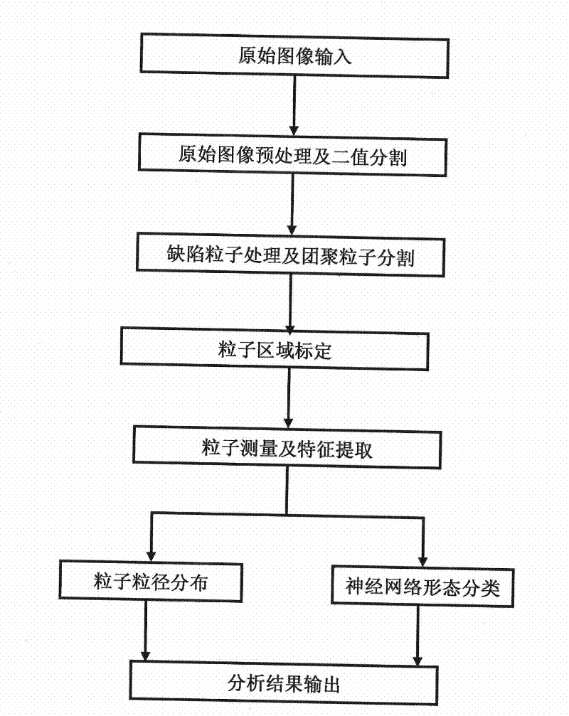 Automatic measurement method for separated-out particles in steel and morphology classification method thereof